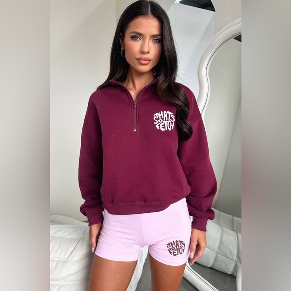 Thats So Fetch Tops - Beckham Half Zip Sweater - Burgundy